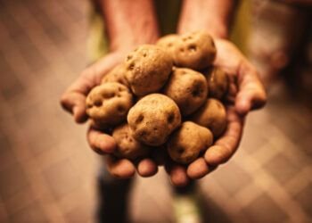 Papas arrugadas: un clásico de nuestra tierra