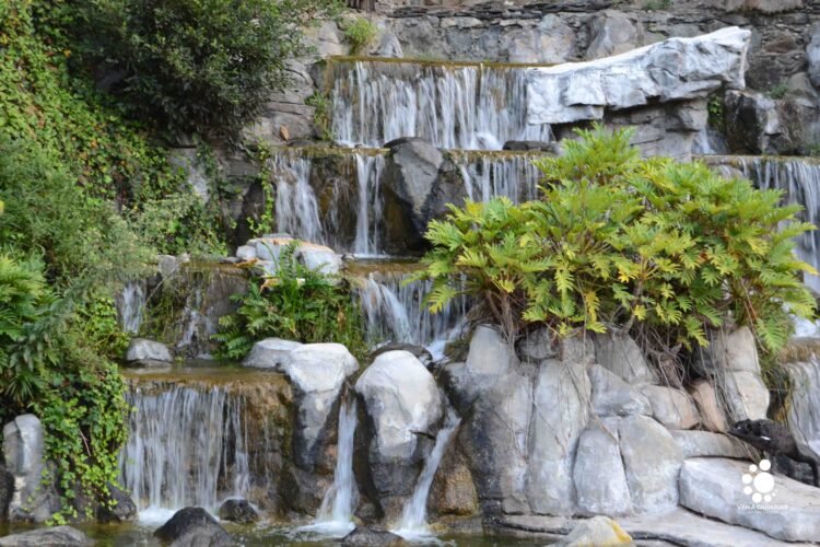 El parque Doramas, un vergel en el centro de Las Palmas de Gran Canaria