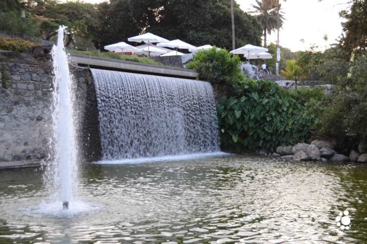 El parque Doramas, un vergel en el centro de Las Palmas de Gran Canaria