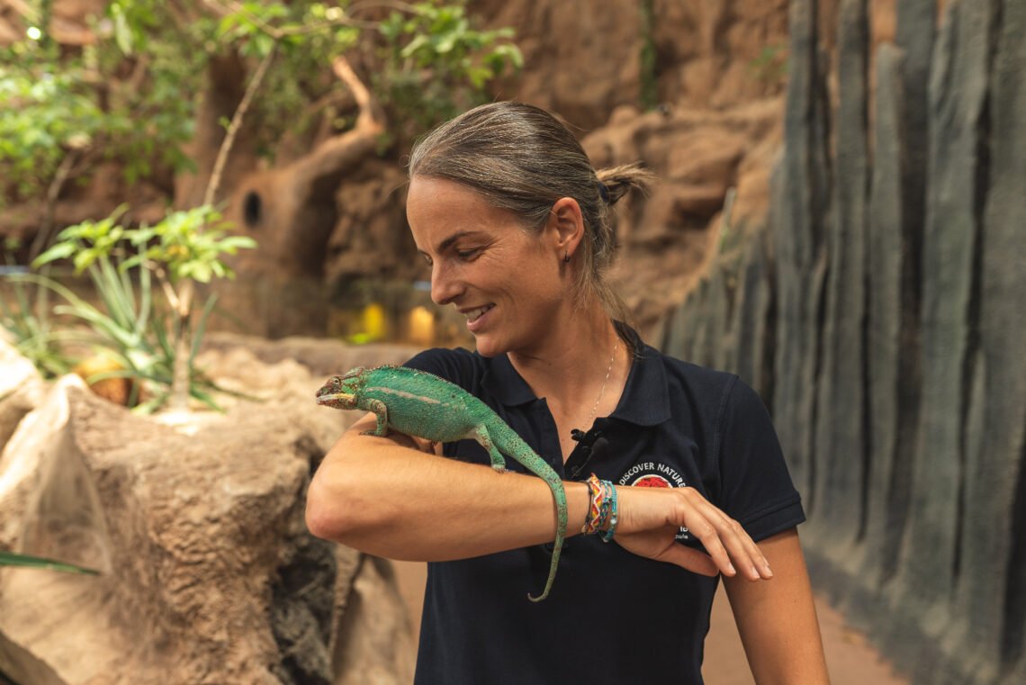 Patricia Campos poema del mar