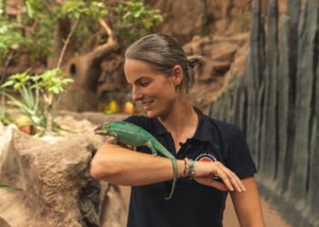 Patricia Campos poema del mar