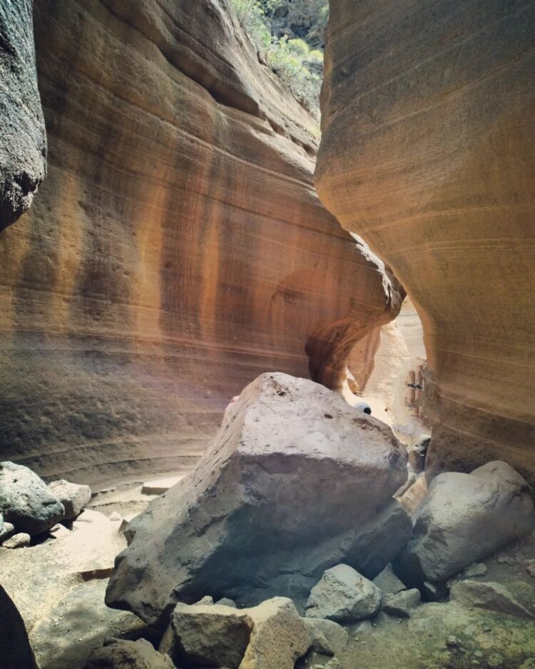 barranco de las vacas
