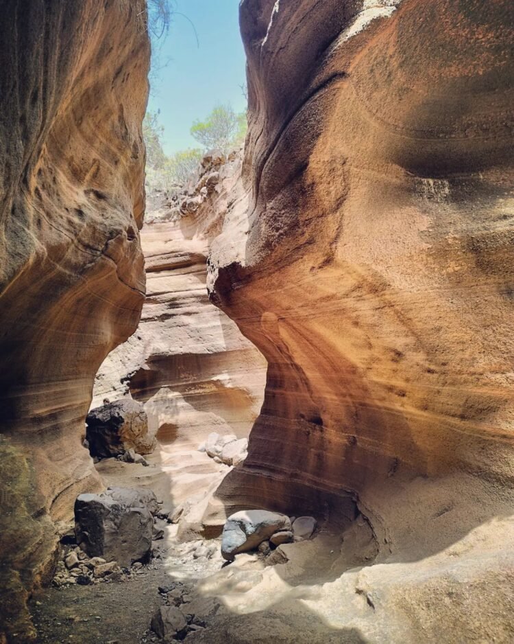 La Belleza Natural del Barranco de las Vacas en Gran Canaria