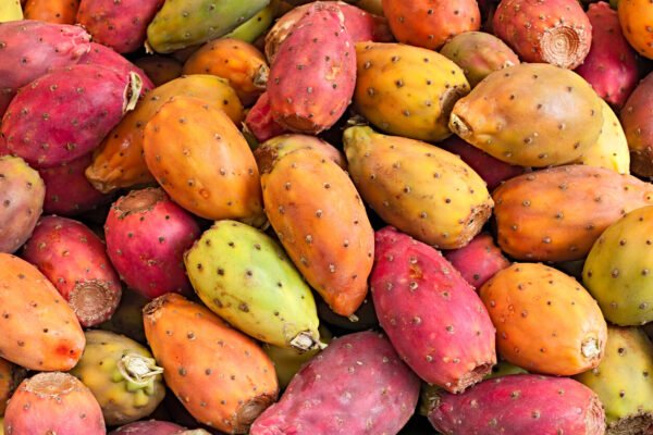 Tunos Canarios Una Delicia Tropical De Las Islas Canarias Ven A Canarias tunos-canarios-una-delicia-tropical-de-las-islas-canarias-ven-a-canarias