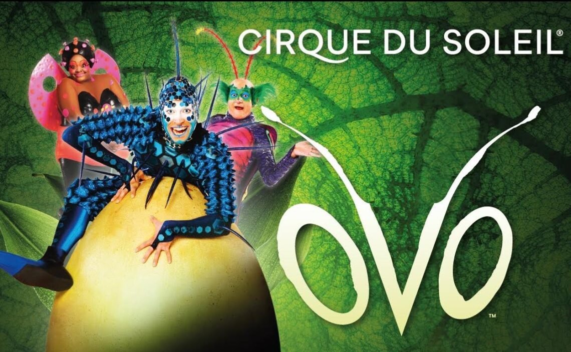 ovo circo del sol