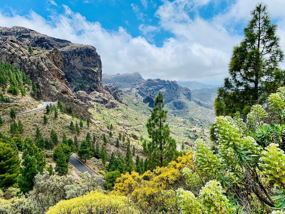 miradores gran canaria
