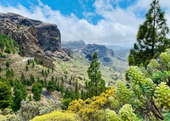 miradores gran canaria